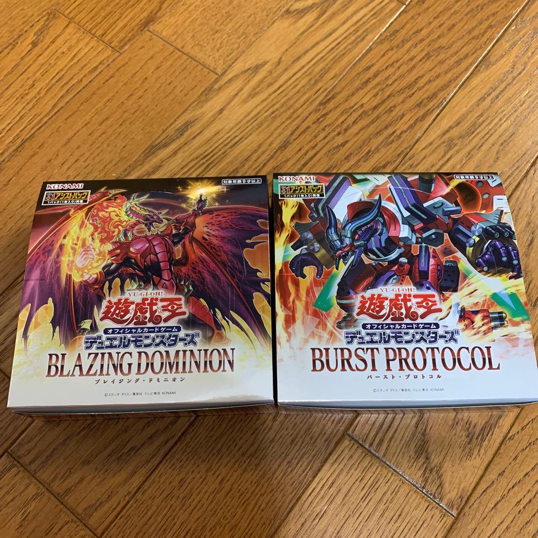 遊戯王 ブレイジングドミニオン バーストプロトコル セパレーター