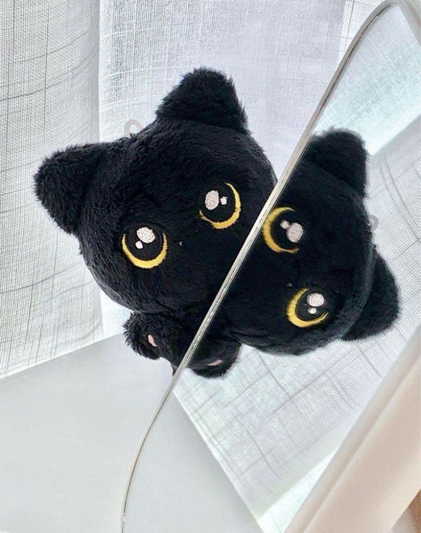 ENHYPEN ジェイ JAY ドール ぬいぐるみ マスター 黒い ねこ④ - メルカリ