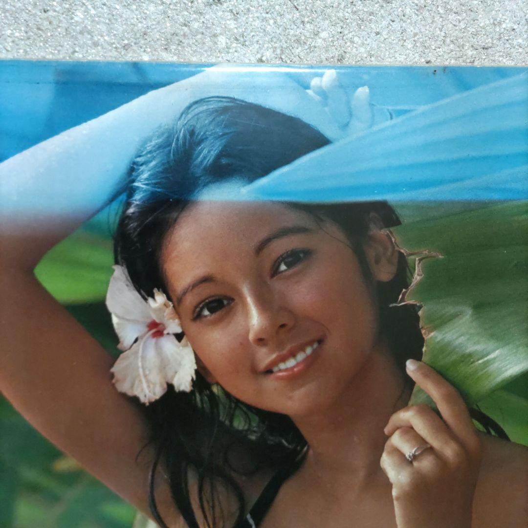 希少！アグネス・ラムパネル