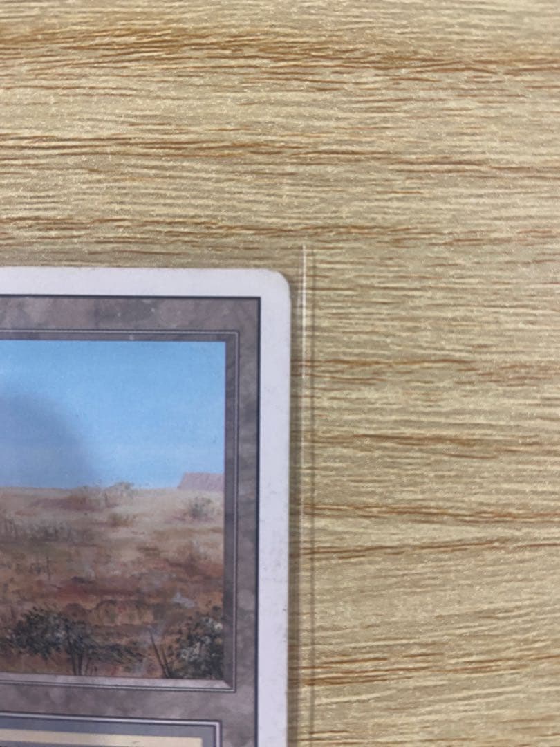 早いもの勝ち MTG Scrubland スクラブランド 3ED