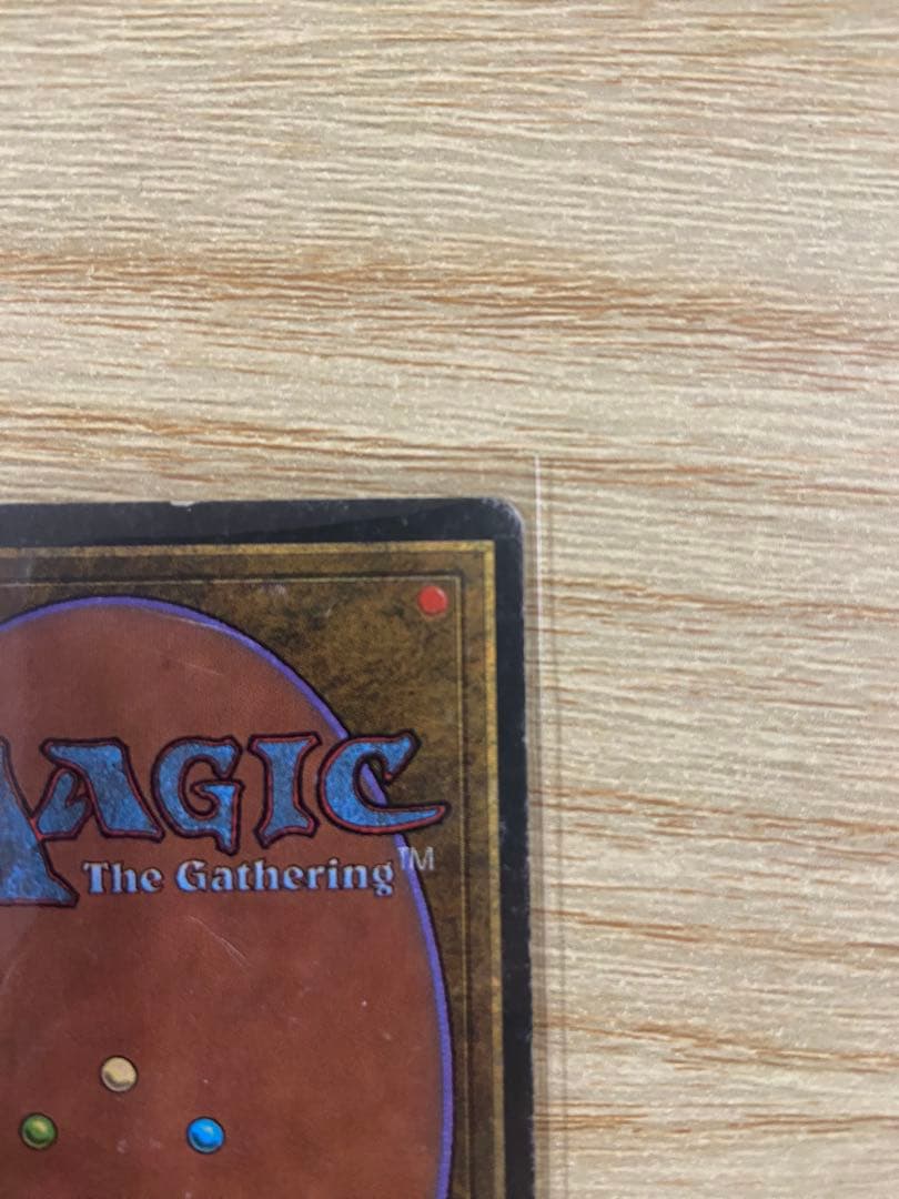 早いもの勝ち MTG Scrubland スクラブランド 3ED