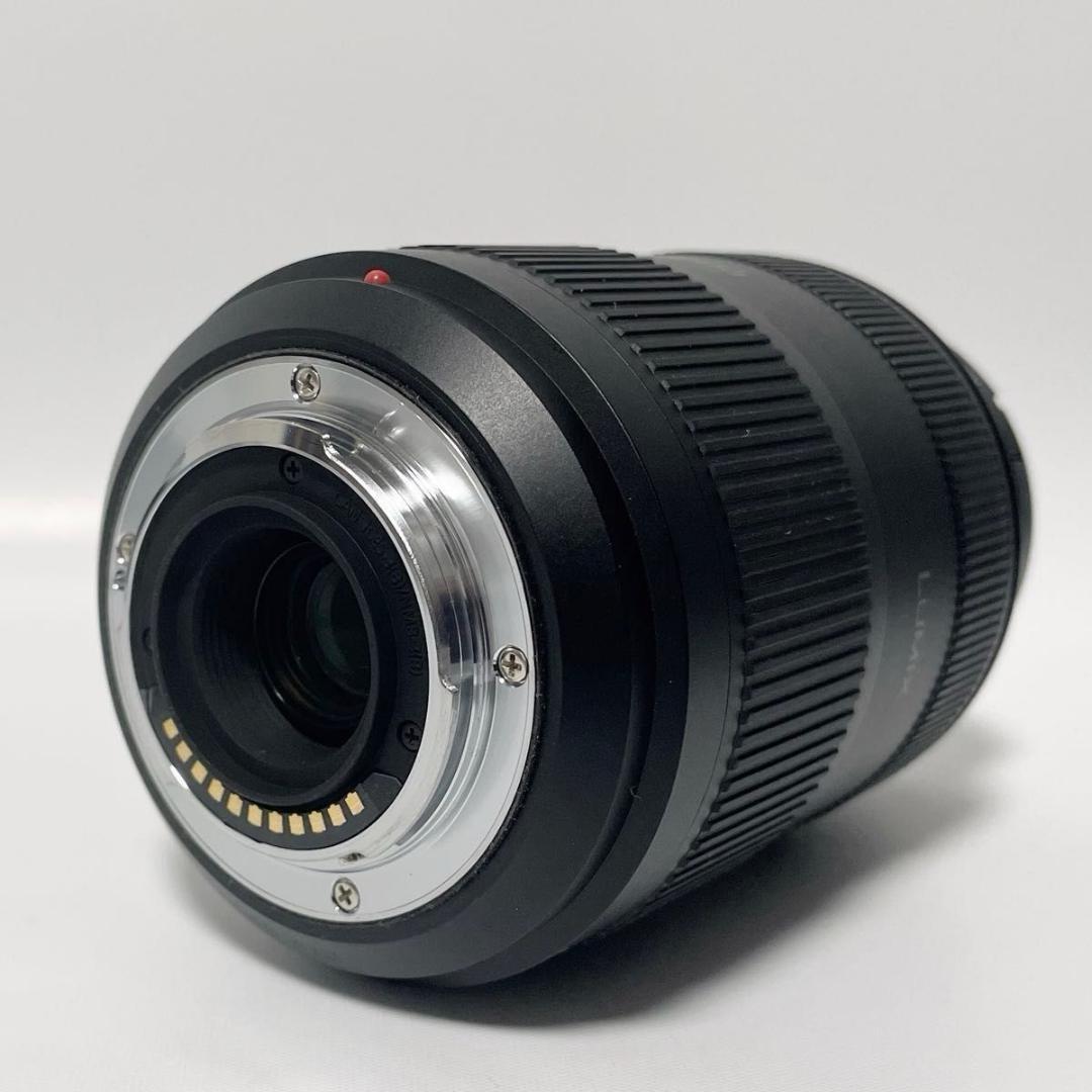 Panasonic LUMIX 45-200mm F4.0-5.6 II レンズ