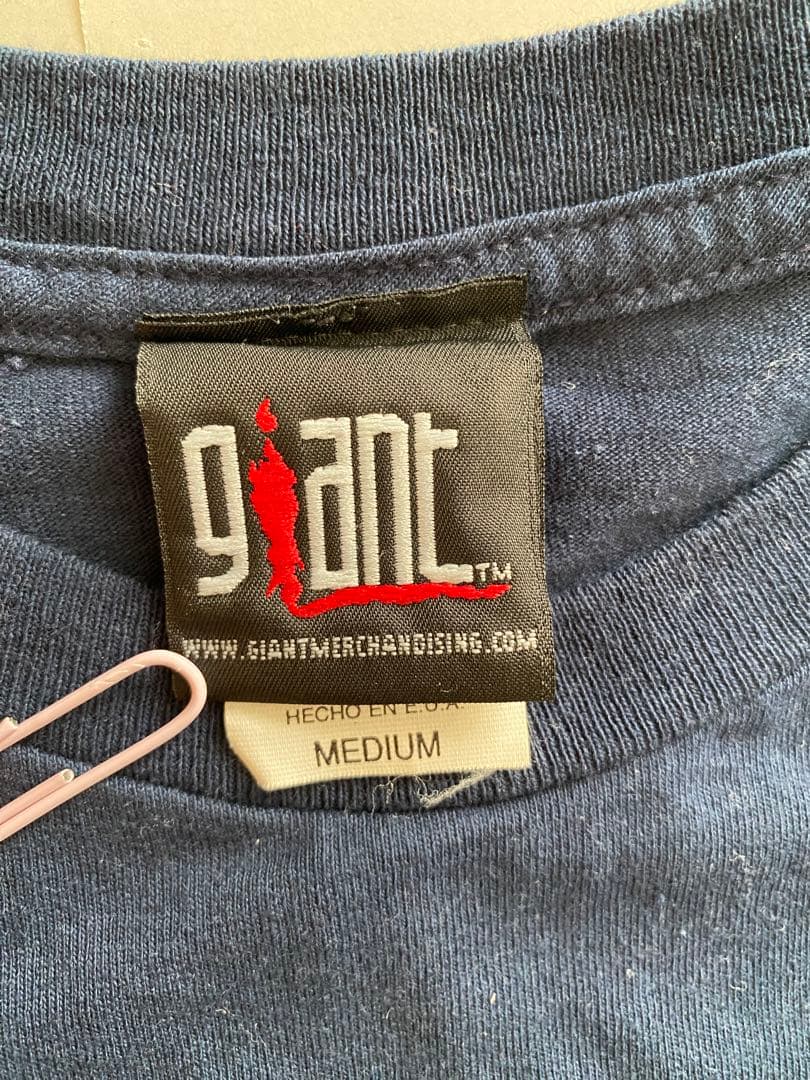 LIMP BIZKIT 2000年 ツアー　Tシャツ