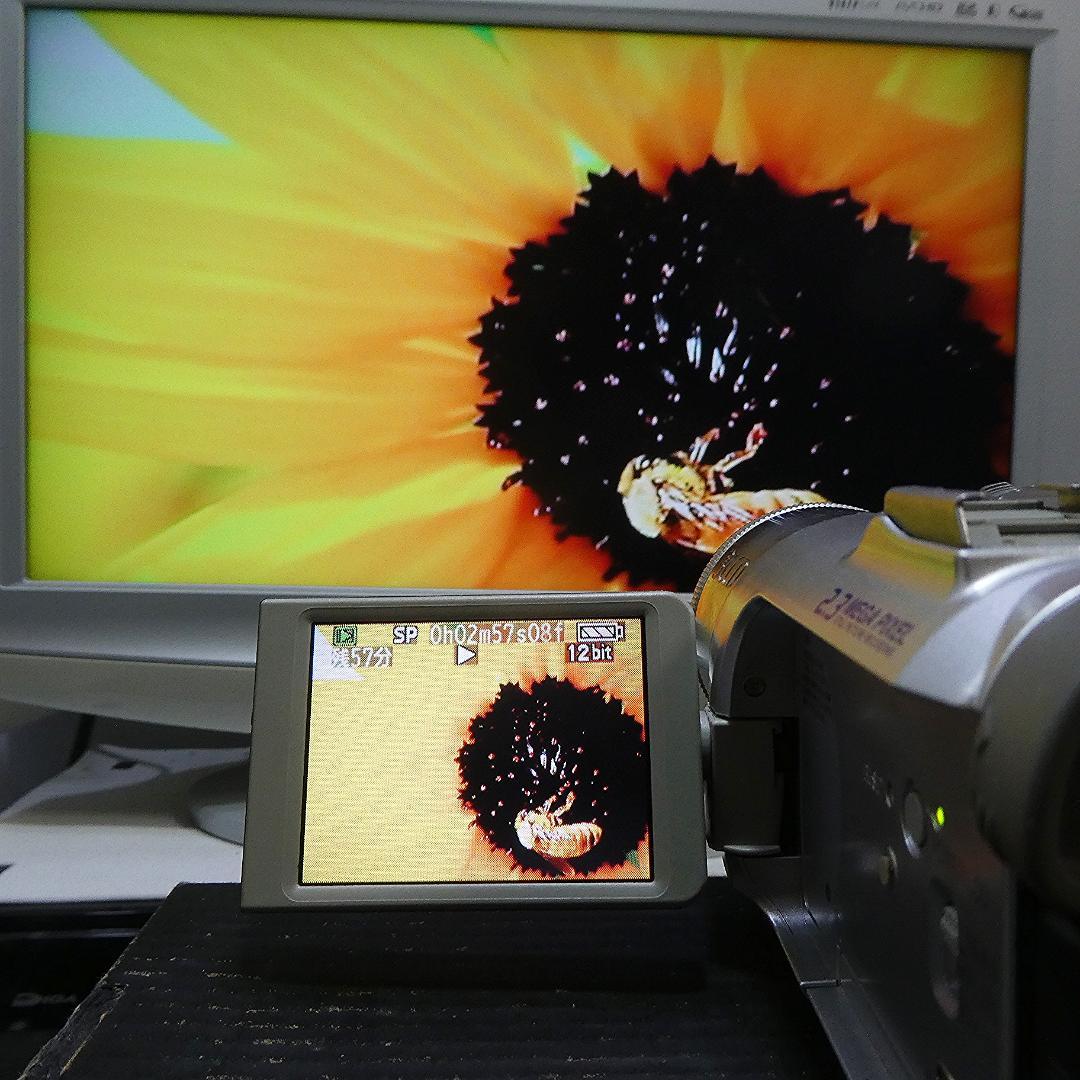 美品・動作良好 パナソニックNV-GS150 MiniDVビデオ　DVD化に最適