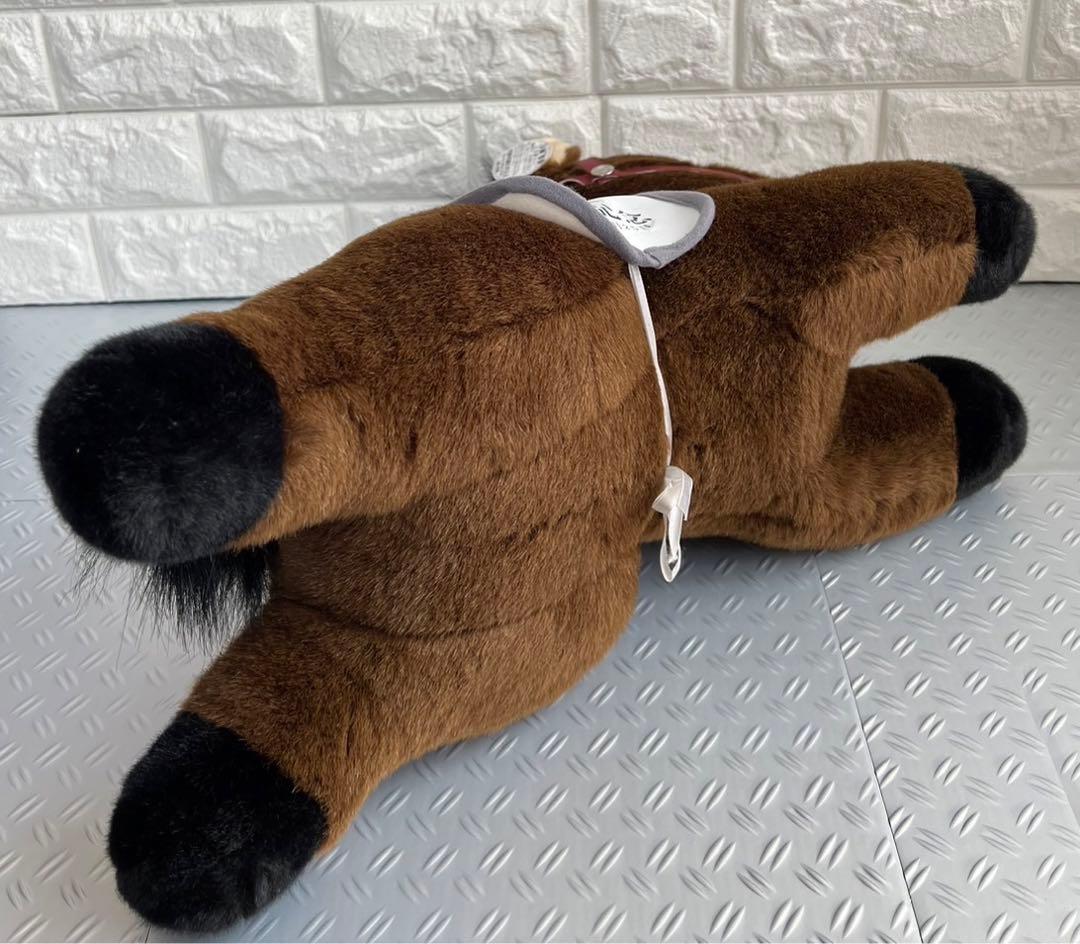 中山馬主協会 モーリス ぬいぐるみ フランシスベリー 若潮賞 2015年