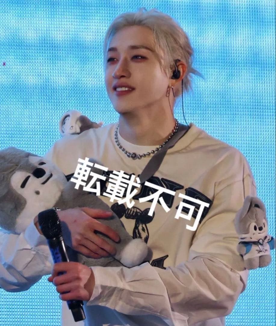 straykids バンチャン plush bag プラッシュ バッグ