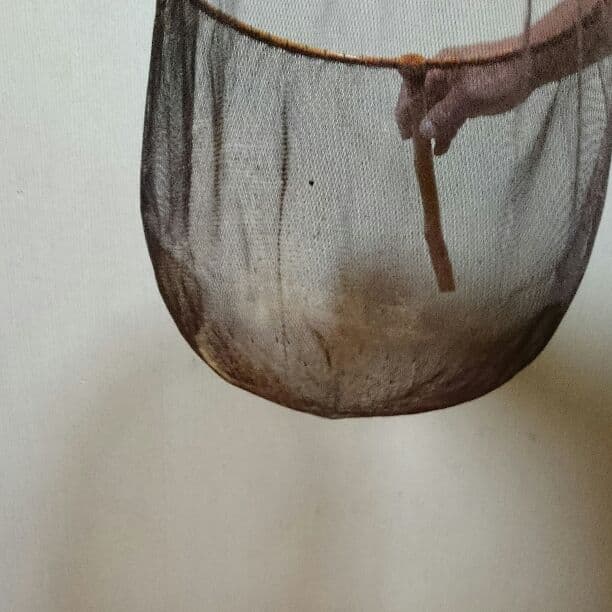 再度お値下げ☆鮎だも