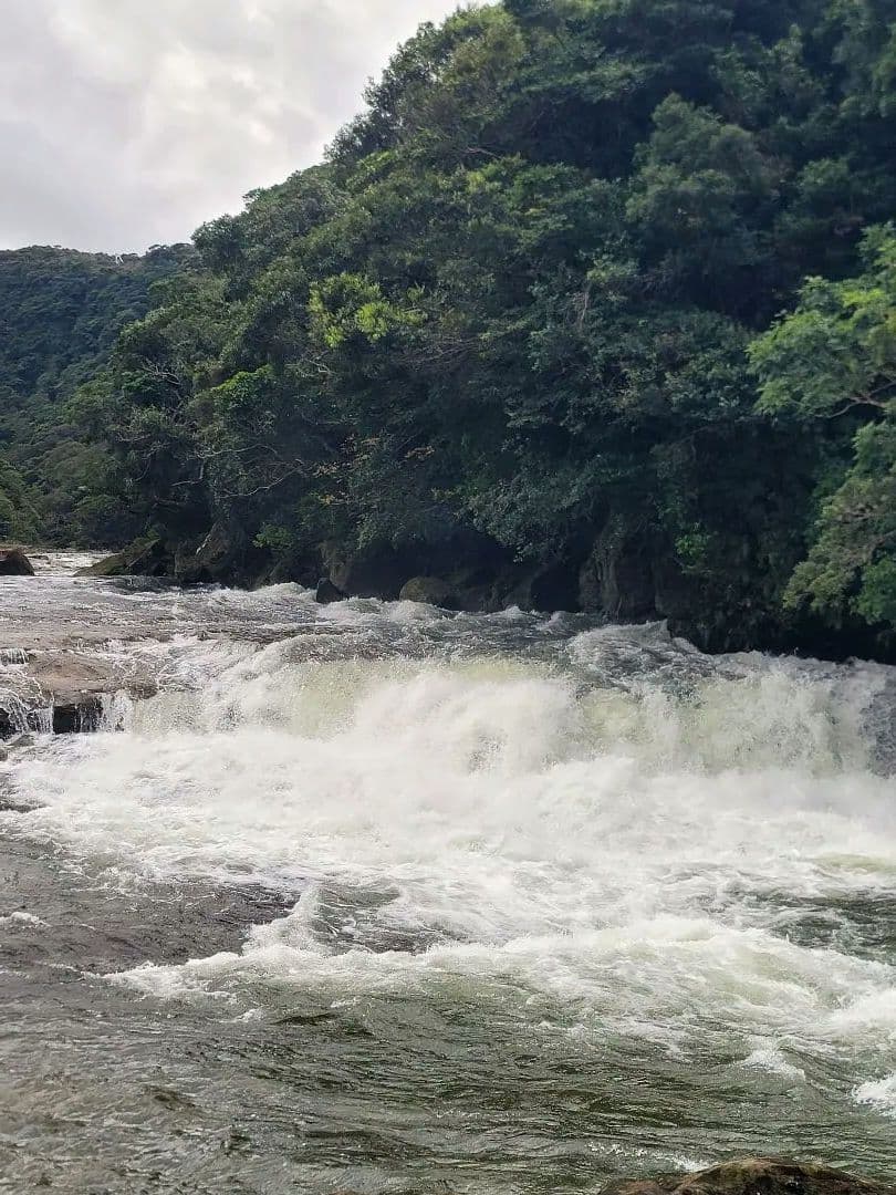 限定1点 うさぎの美容と幸せ・願い事と目標達成・ラブラブオルゴナイト