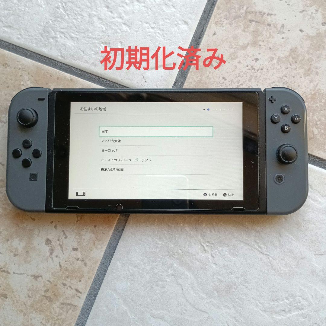 任天堂Switch本体 付属品 冷却ファン付きドッグ 別売りケース グレー