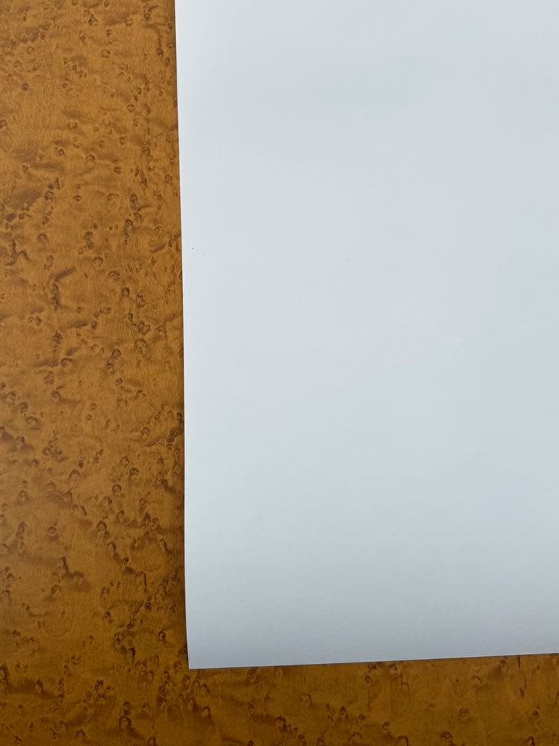 【新品】激レア　奈良美智　FireAid ポスター②