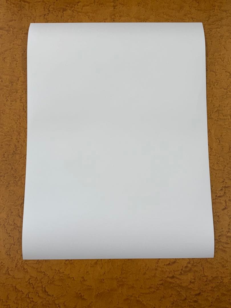 【新品】激レア　奈良美智　FireAid ポスター②