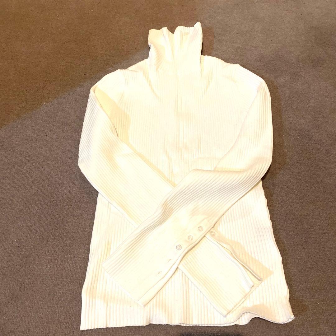 リグリーム regleam リブニットタートル