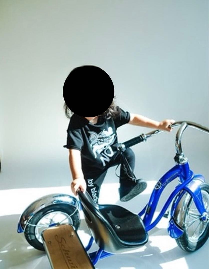 SCHWINN シュウィン　キッズ三輪車 レトロ　ヴィンテージ