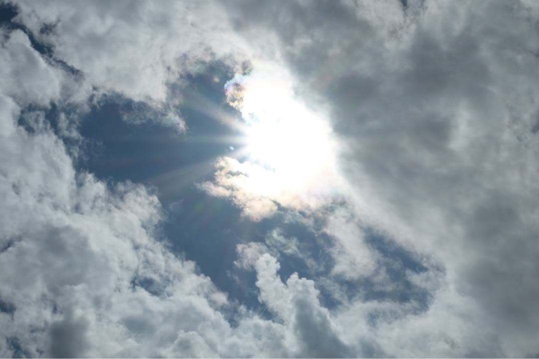 【動作確認済み】NIKKOR Z DX 16-50mm f/3.5-6.3 VR