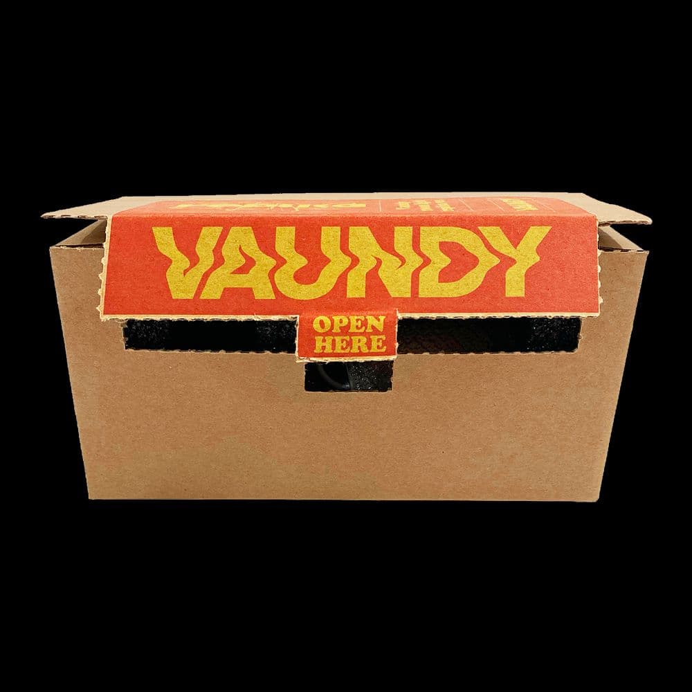 ミュージシャン Vaundy light