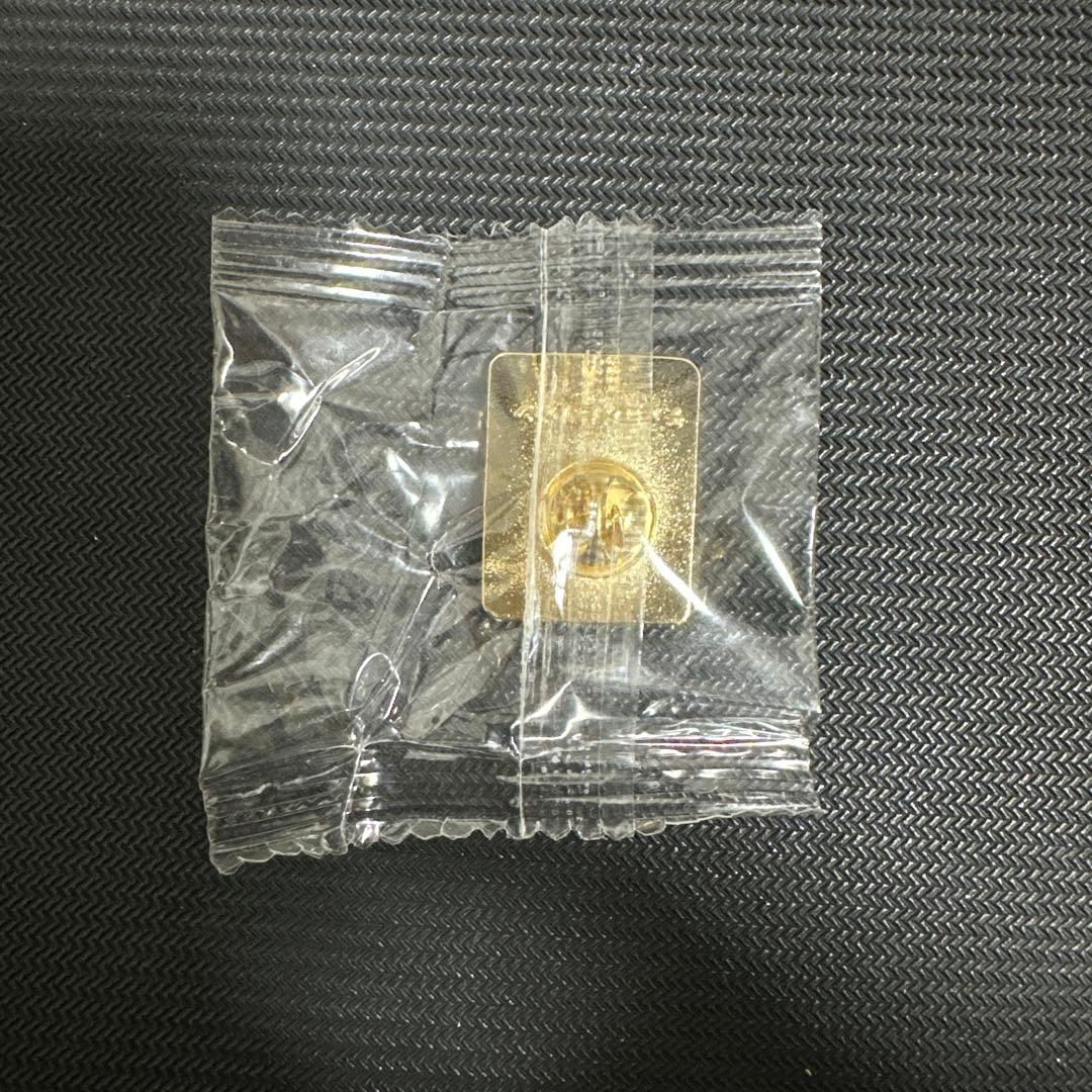 「超レア非商品」チェコ館　ピンバッジ 金色　万博
