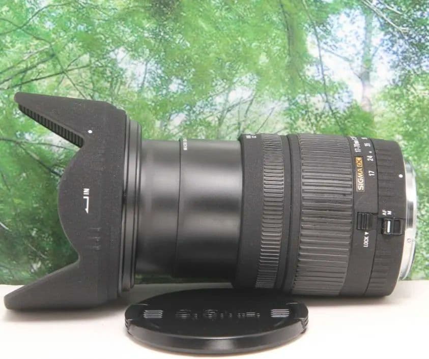 ❤️大評判神レンズ♪SIGMA 17-70mm f2.8-4.5 キヤノン用❤️