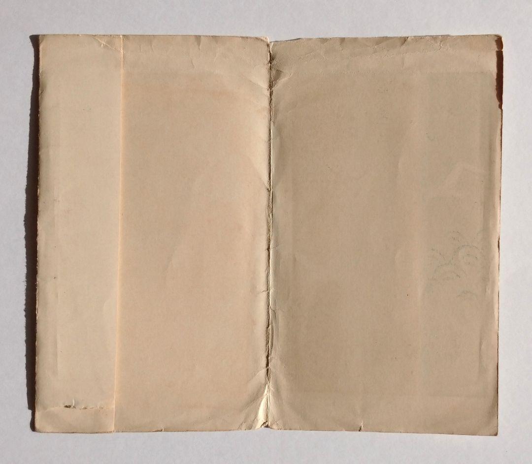 皇太子殿下御帰朝記念絵葉書 附・海外御巡遊記（官報宮廷録事） タトウ