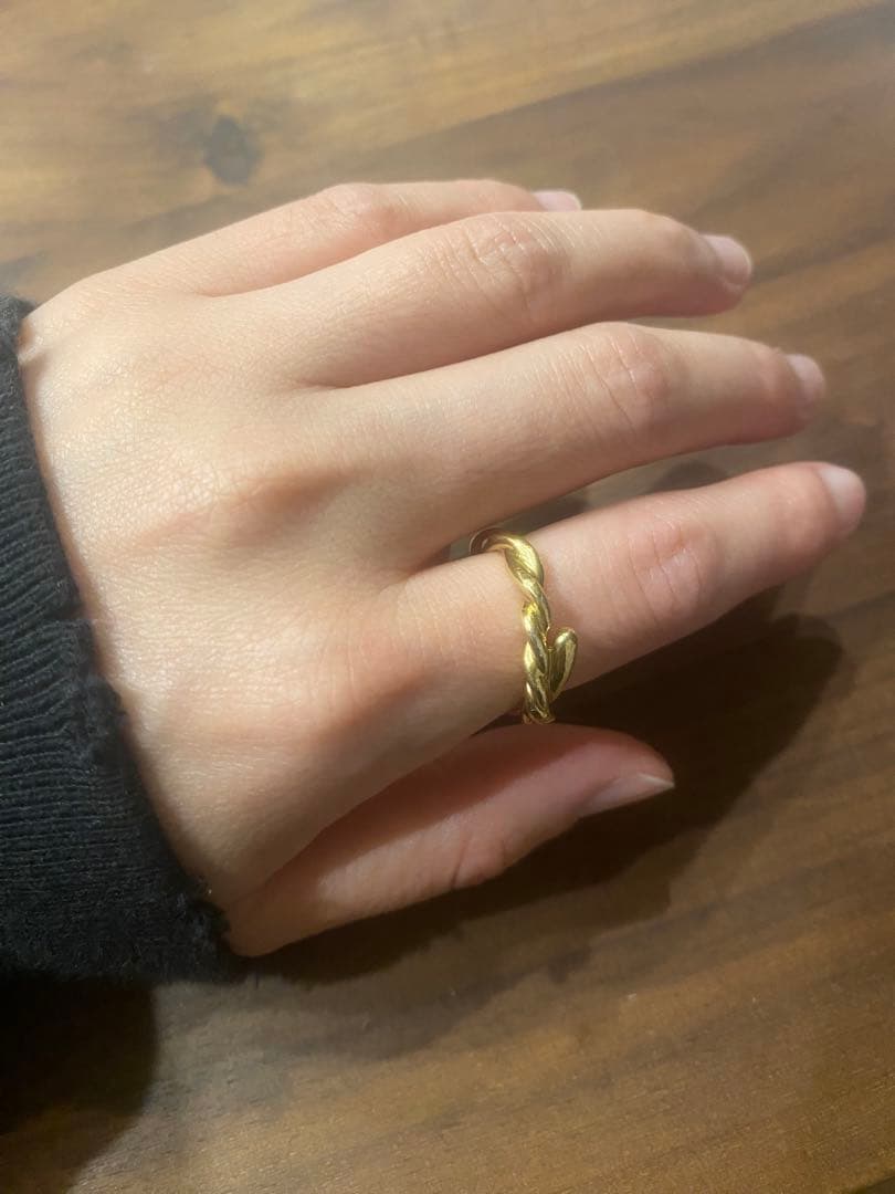 フォーヴィレイム Roots Ring / Gold Fauvirame 11号