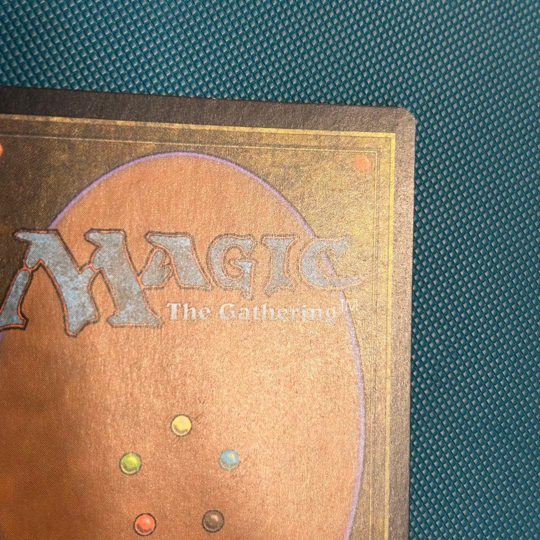 【ジャッジFoil】《吹きさらしの荒野/Windswept Heath》英語