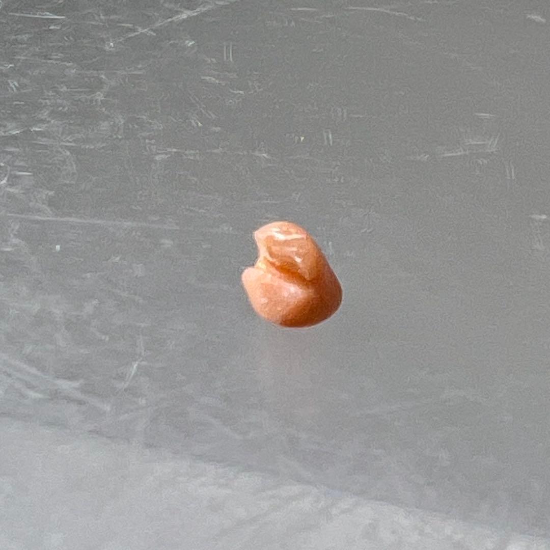 K18刻印　本桃色珊瑚　ピアス　2対セット　6.32g 東K7-1211☆2F