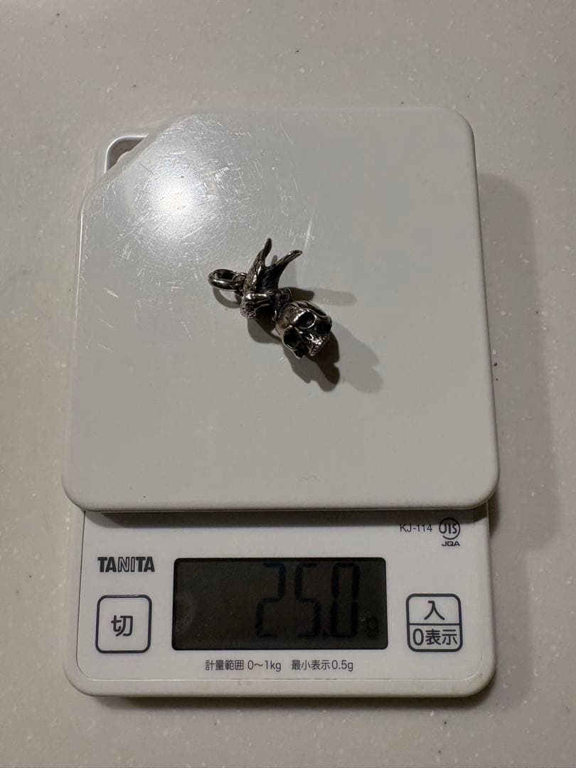 PROGRESSIVE ART JEWELRY スカルカラス ペンダント 925 - メルカリ