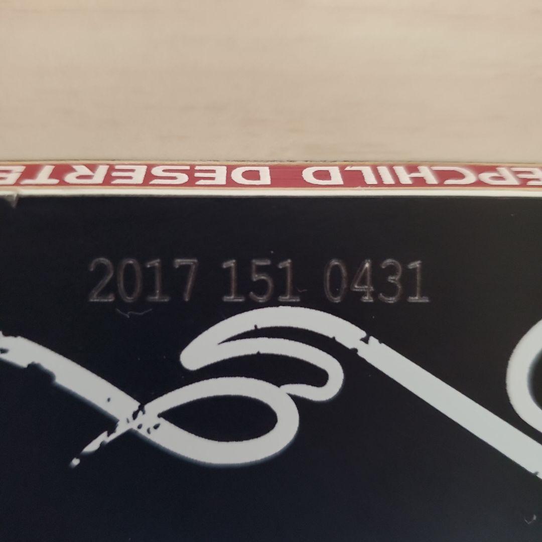 STEPCHILD DESERTED スノーボード 151cm - メルカリ