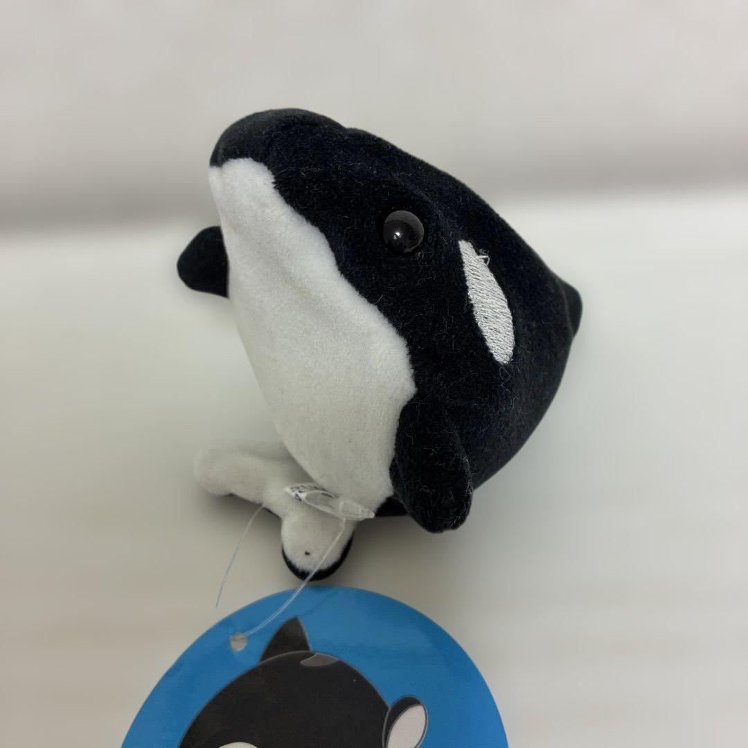 神戸須磨シーワールド限定】大福マスコット シャチ ぬいぐるみ⑤