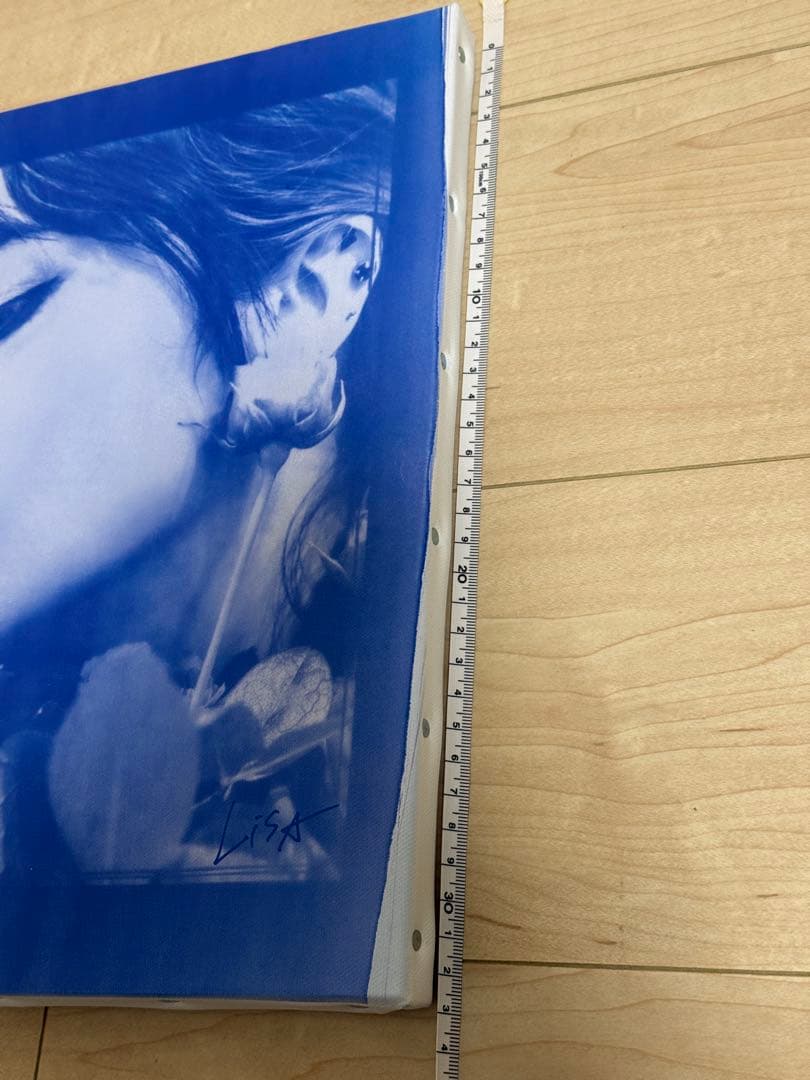 LiSA キャンバスアート