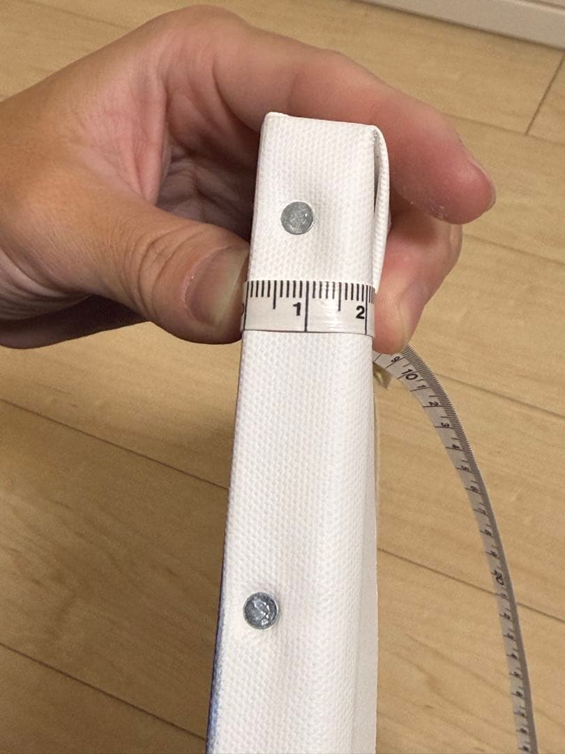 LiSA キャンバスアート