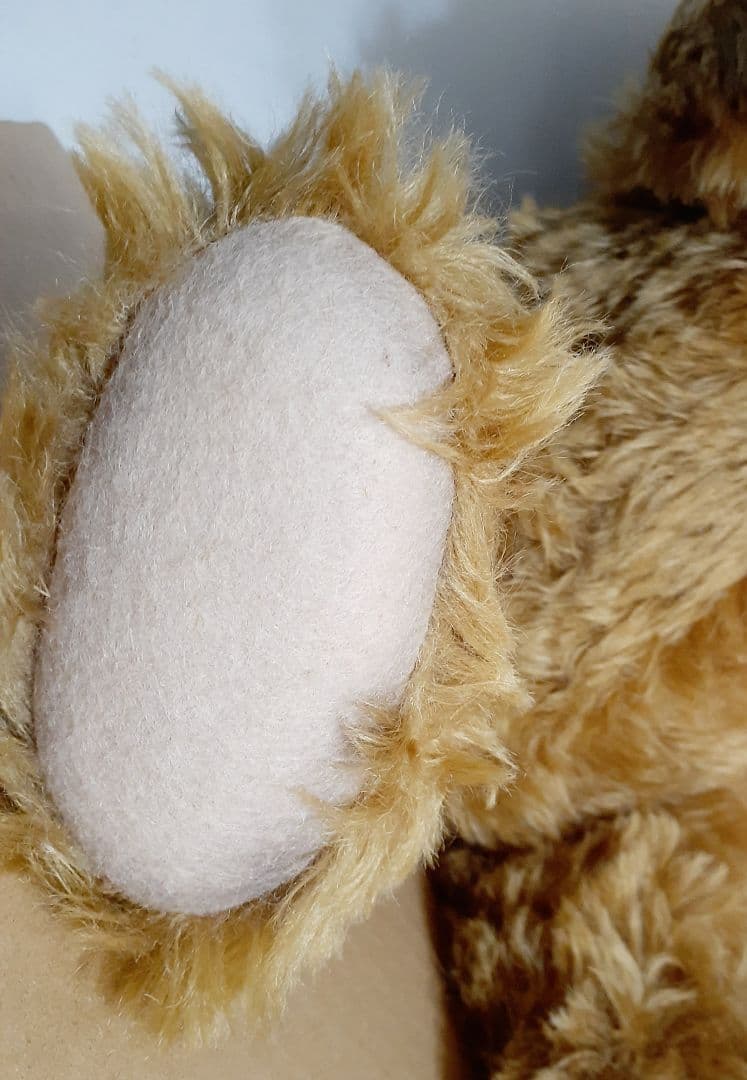 シュタイフ テディベア 1906 50cm 906体 世界限定 2019年製