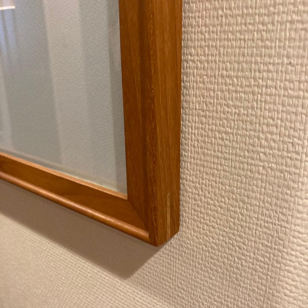 ジョアンフックJ. Allen Hood 鳥と植物の【額込】 - メルカリ