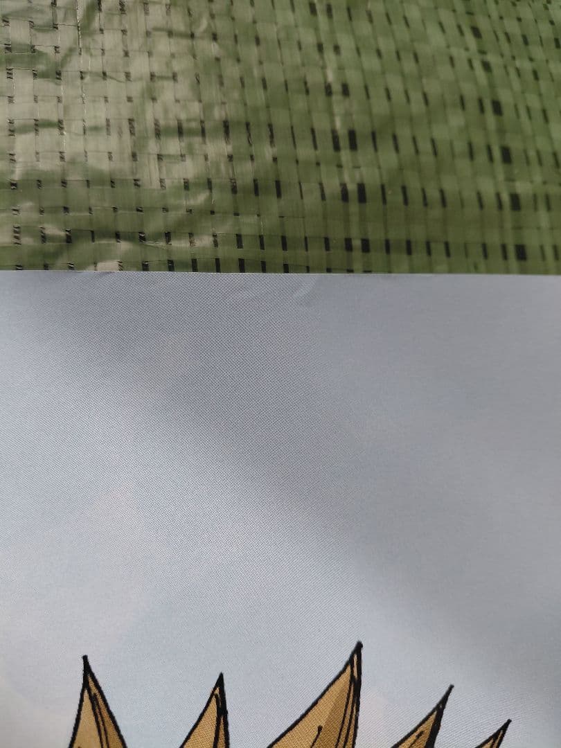 RAVEの限定ポスター(四隅においてあるメジャーと重しは売り物ではありません)