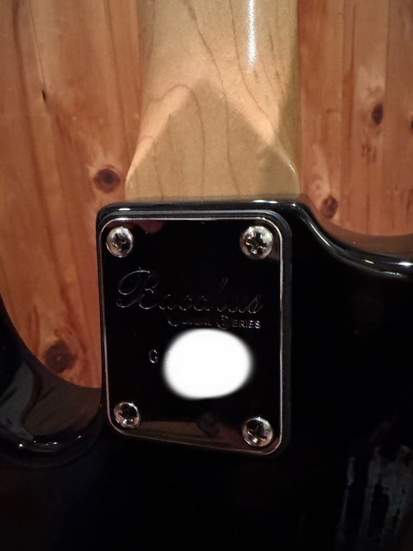 BACCHUS GLOBAL WOODLINE 001 ターボスイッチ搭載 - メルカリ