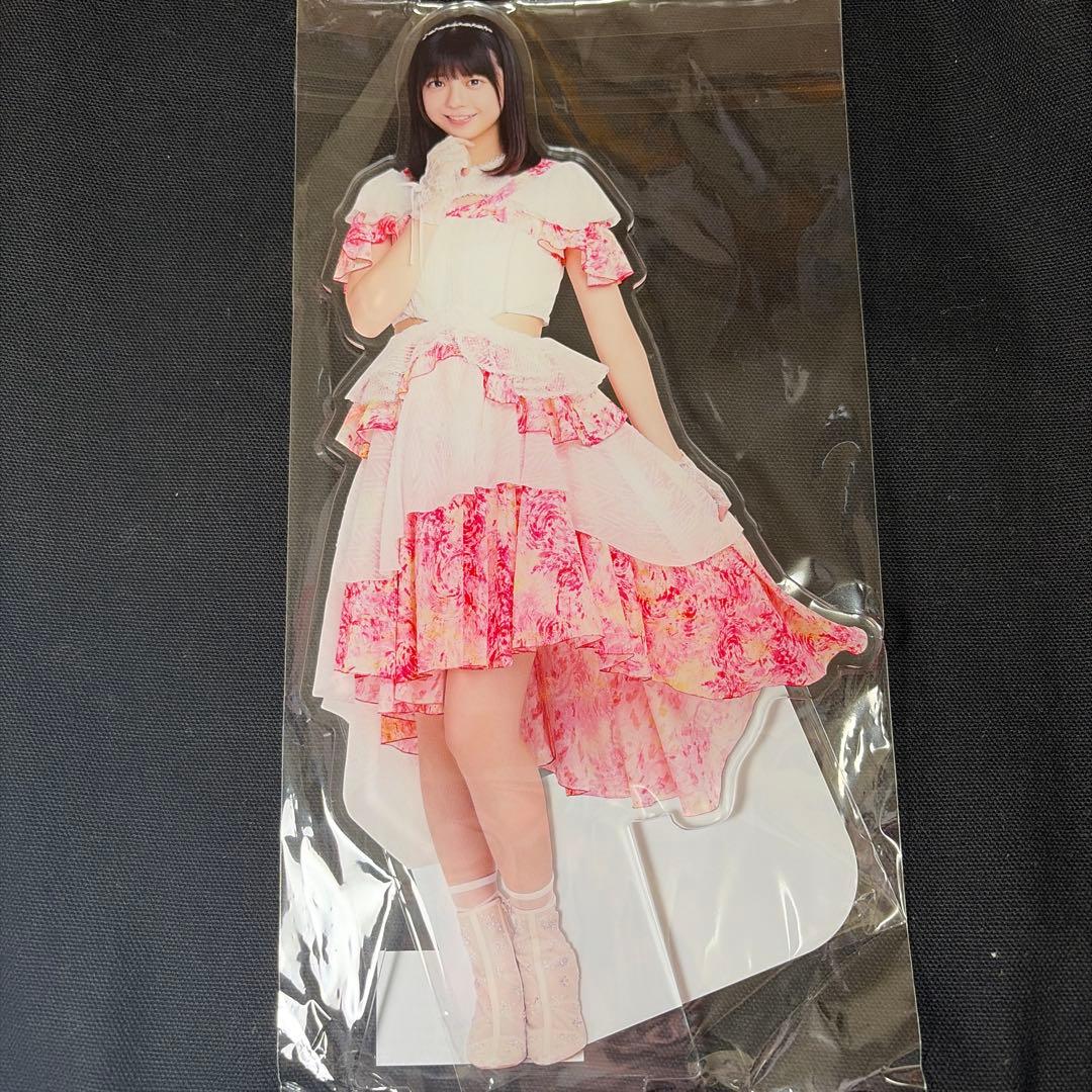 冨里奈央 BIGアクリルスタンド 乃木坂46 2025年福袋 - メルカリ