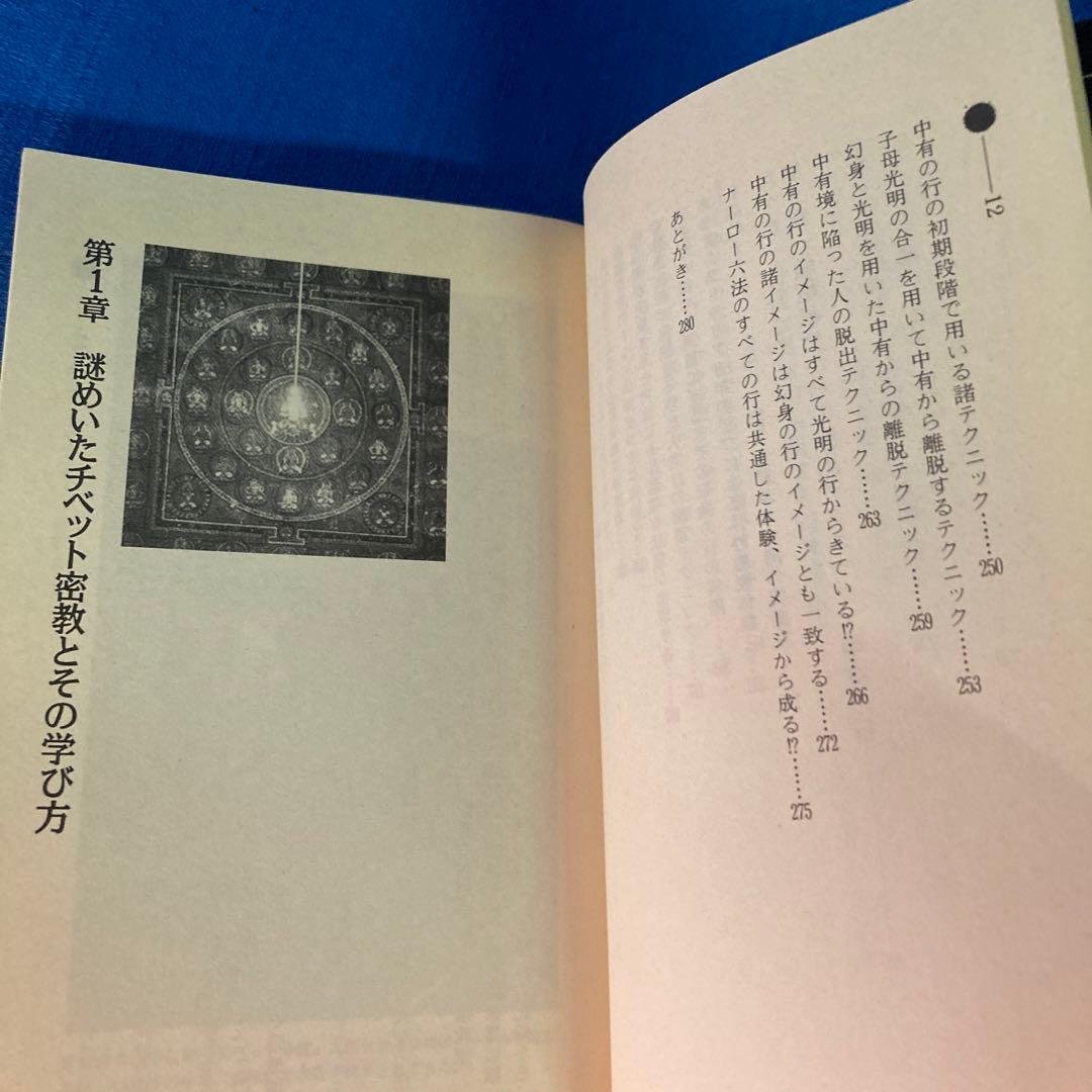 レア本セット！】神秘！チベット密教入門 秘伝チベット密教奥義 高藤