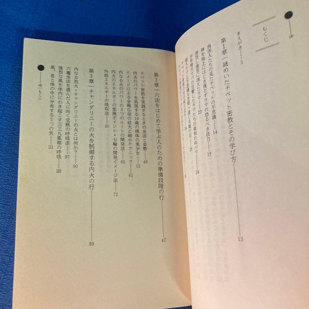 レア本セット！】神秘！チベット密教入門 秘伝チベット密教奥義 高藤