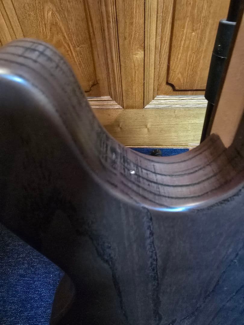 Bacchus テレキャスター YTM-500R