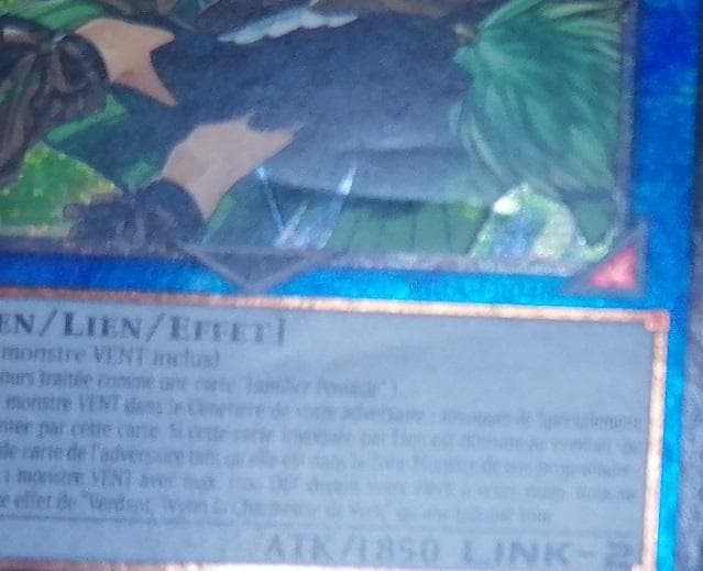 訳アリ 遊戯王 蒼翠の風霊使いウィン スターライトレア  フランス語