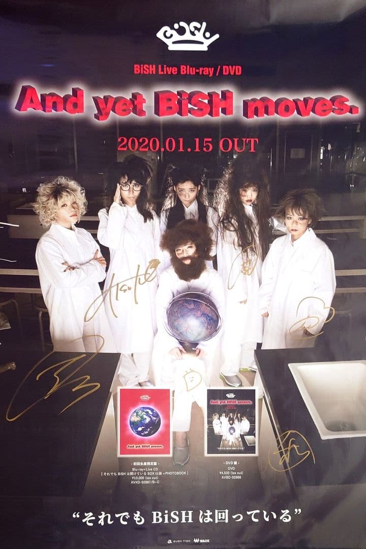 送込【BiSH/PEDRO/ExWHYZポスター17枚】 直筆サインB2ファイル