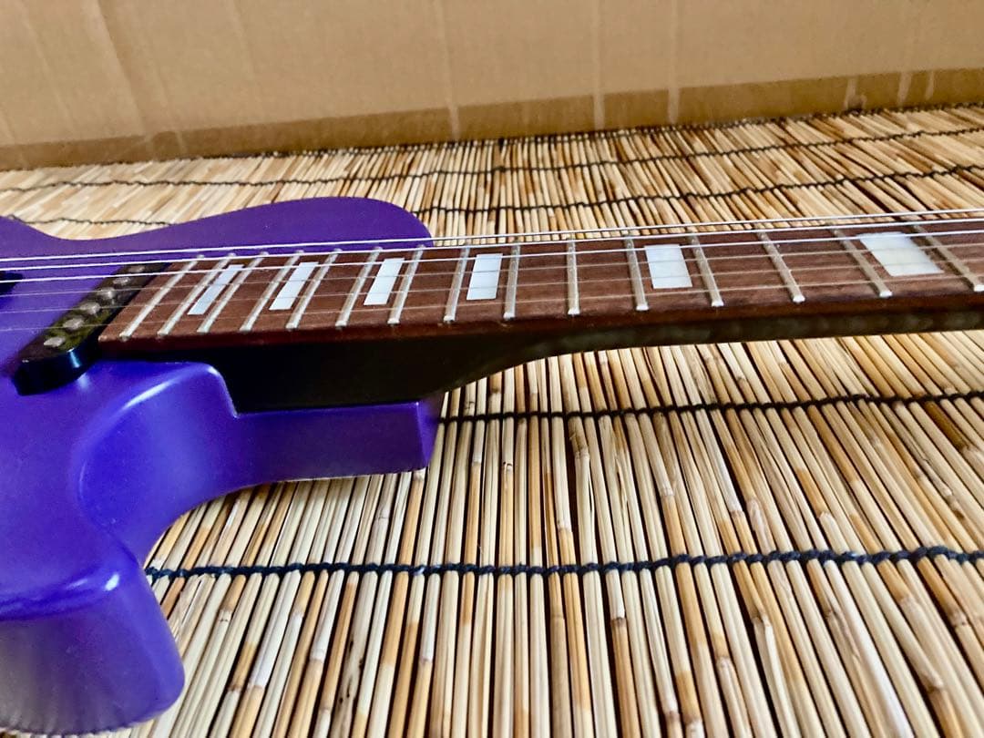 ☆値下☆美品珍品　モディファイして新機能満載　GrassRoots SSS LP