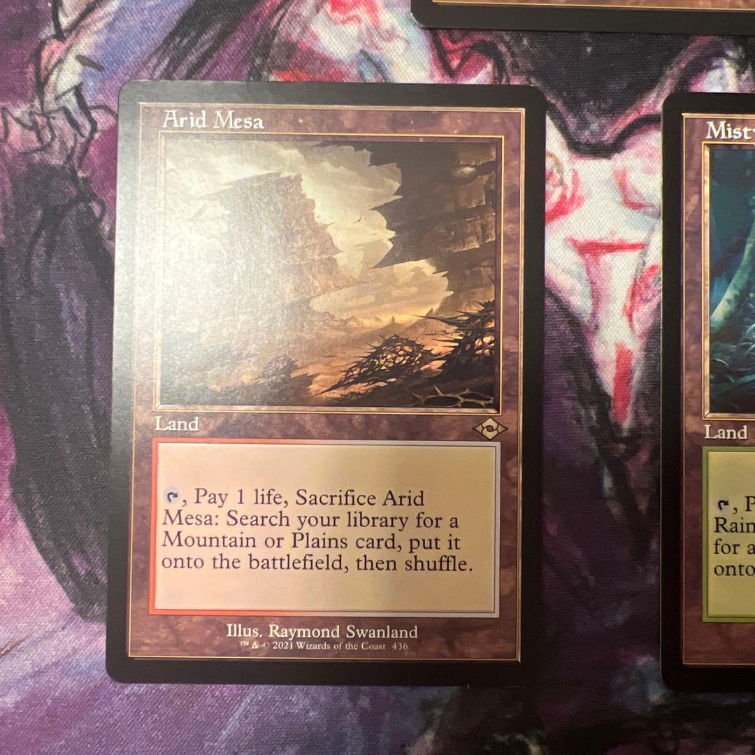 沸騰する小湖　霧深い雨林　乾燥台地　各1枚　英語版　mtg