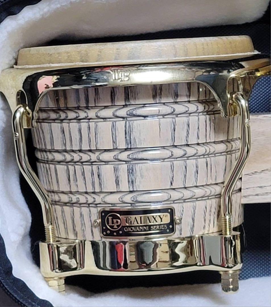 ジョバンニイダルゴ シグネイチャーボンゴ プロラケケース付き