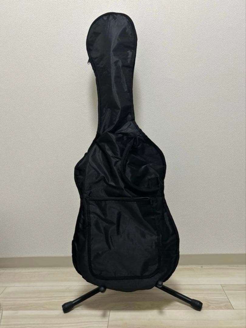 FERNANDES エレキギター