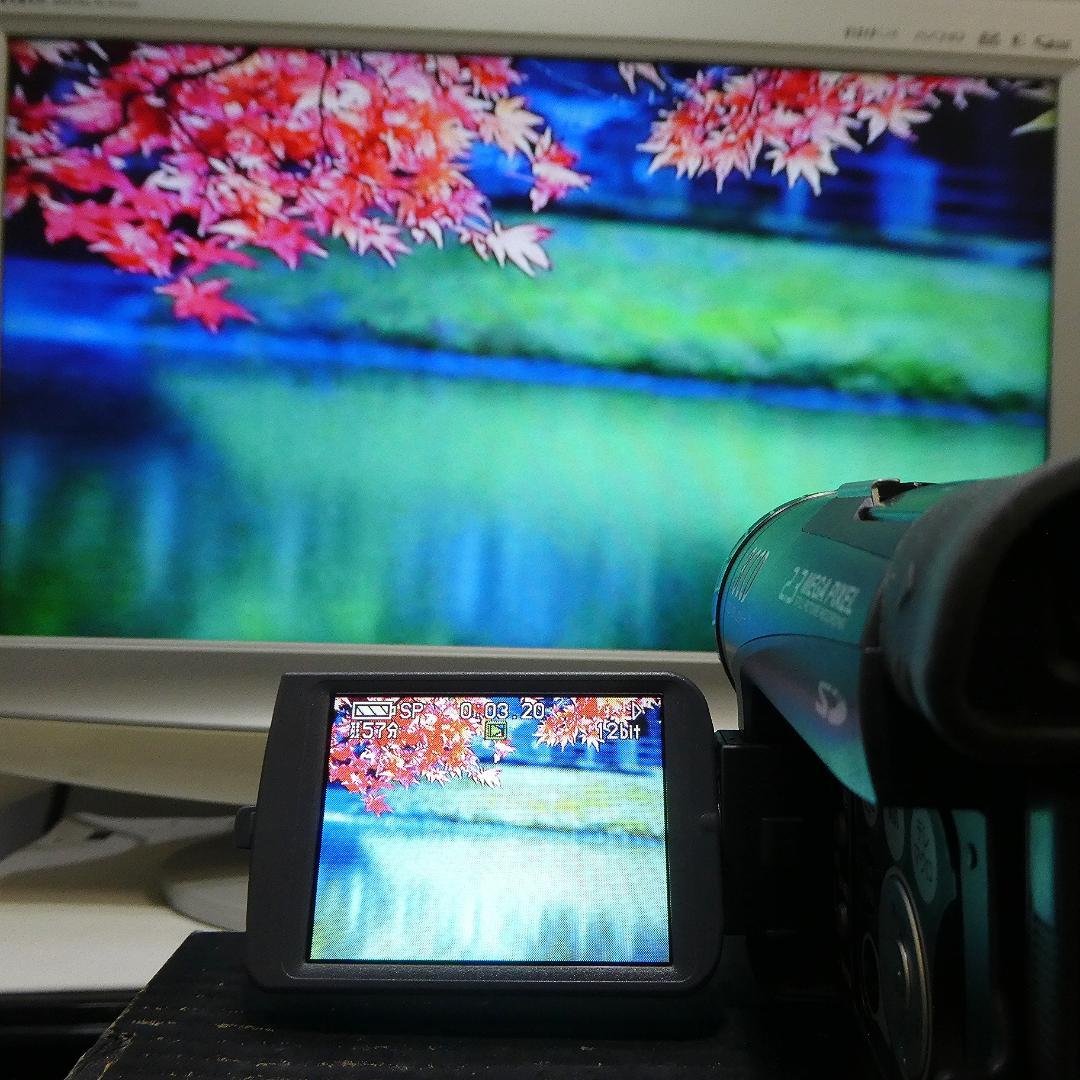 美品・動作良好 パナソニックNV-GS200 MiniDVビデオ　DVD化に最適