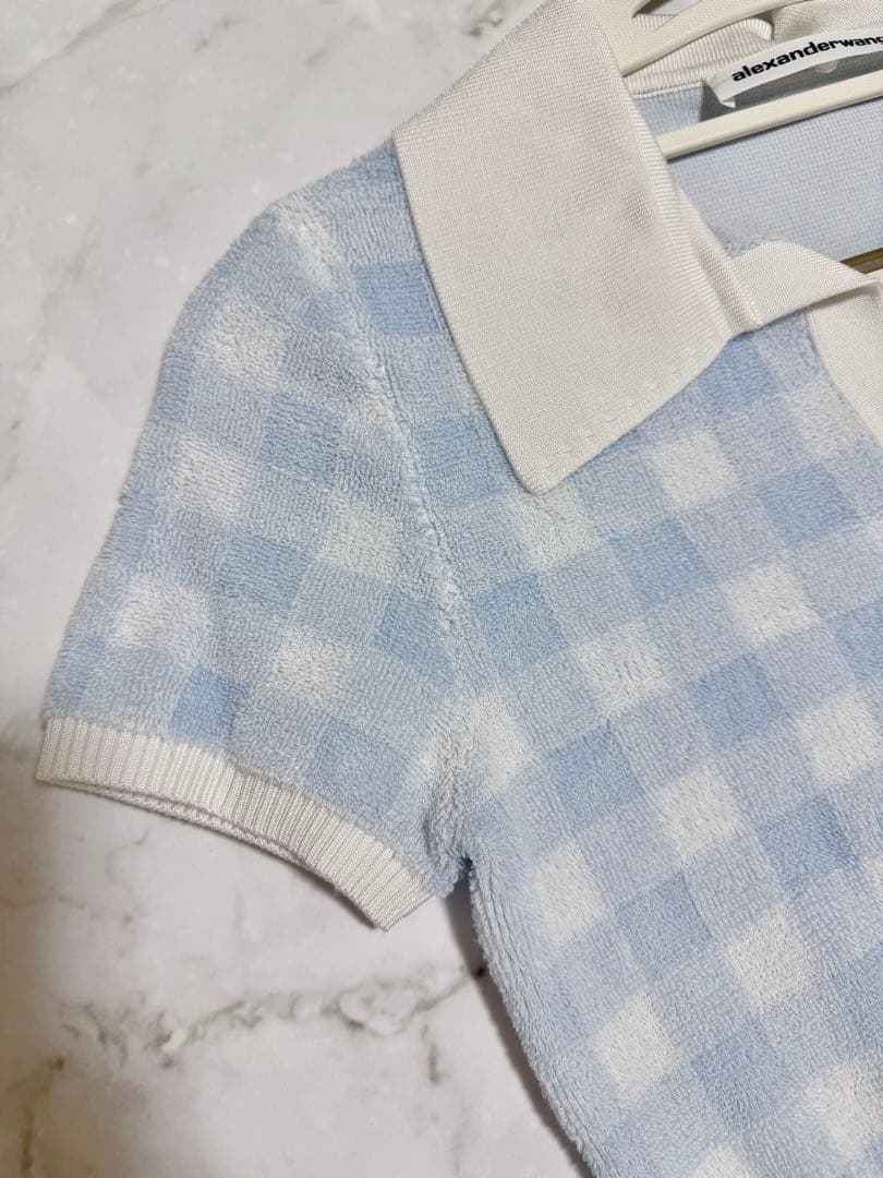 初売り‼️【新春限定価格】Alexander Wang クロップドトップス　美品