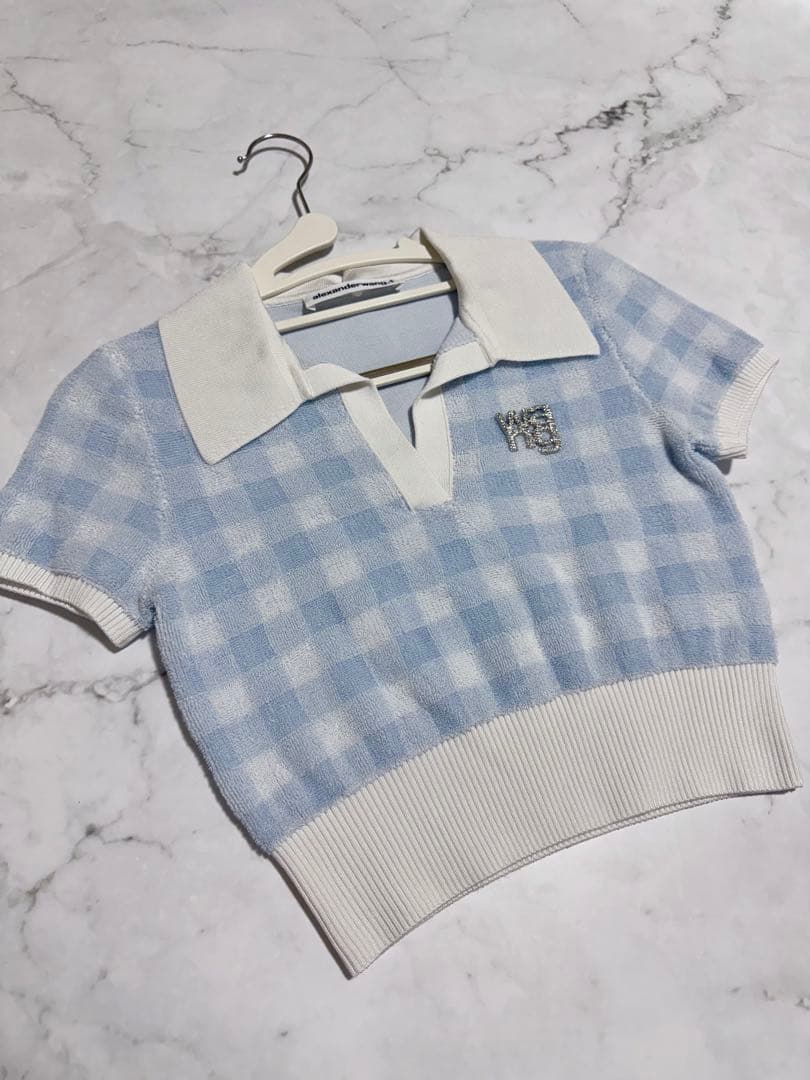 初売り‼️【新春限定価格】Alexander Wang クロップドトップス　美品