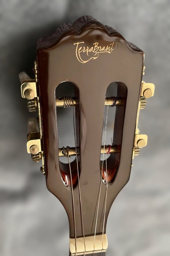 Terra Brasil Cavaquinho ピックアップ内蔵カヴァキーニョ - メルカリ