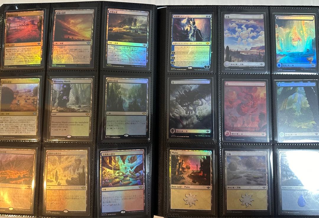 【MTG】サンダージャンクションの無法者 通常版FOILコンプ、ファイル付き