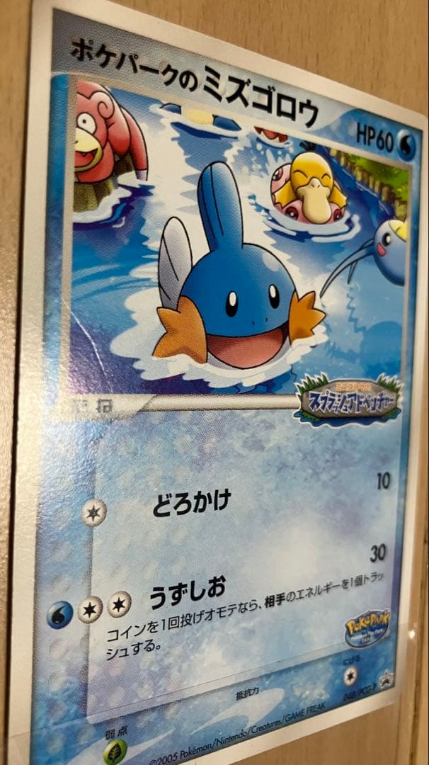 ポケパーク2005 限定ポケモンカード23枚セットプレミアムファイル